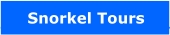 snorkel tours link